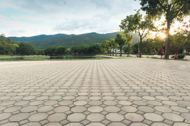 Best Concrete Paver Driveway  in Elliston, VA